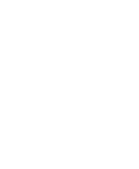 Distributed Team, Regional Execution